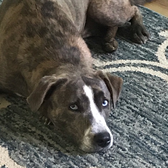 Meet your Posher, Belinda - Picture 5 of 6